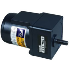 D1610-200-17B 200 W 220 V Helisel Dişli Redüktörlü Motor 