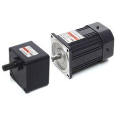 E9I120PXH 120 W 1 x 220 V AC 250 rpm ExceM redüktörlü Motor