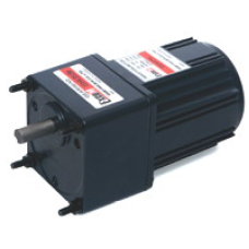 E8I25PLT-15 25 W 3 x 220 V AC 10 rpm ExceM Redüktörlü Motor