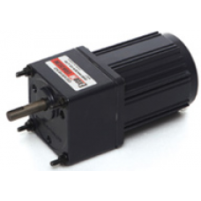 E6I6PXL 6 W 220 V AC 75rpm ExceM Redüktörlü Motor