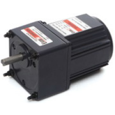 E8I25PXLTU 25 W 1 x 220 V Hız kontrollü ExceM AC redüktörlü Motor