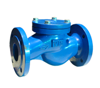 Düz Tip Lift(Yaylı) Çekvalf PN16/25/40